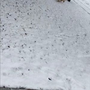 Meet your Posher, Tom